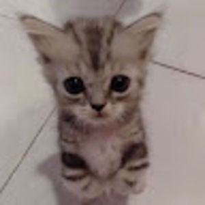 Meet your Posher, Joshua